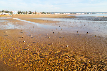 Similar image 9235593