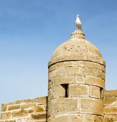 Similar image 9235751