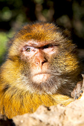 Similar image 9235761