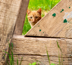 Similar image 9235778