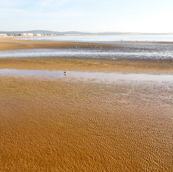 Similar image 9235792