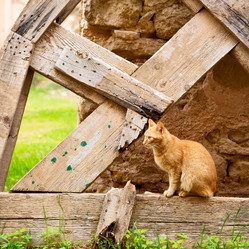 Similar image 9235913