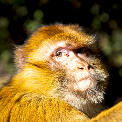 Similar image 9235922