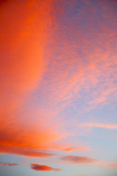 Similar image 9236094