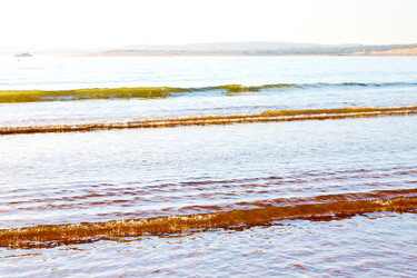 Similar image 9236572