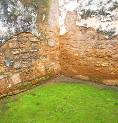 Similar image 9236579