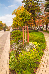 Similar image 9236584