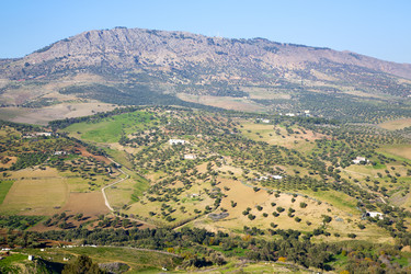 Similar image 9237232