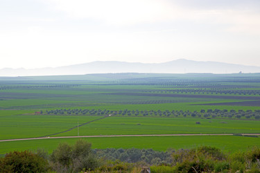 Similar image 9237251