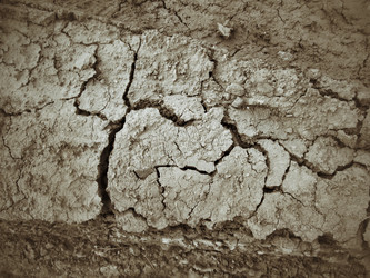 Similar image 9238275