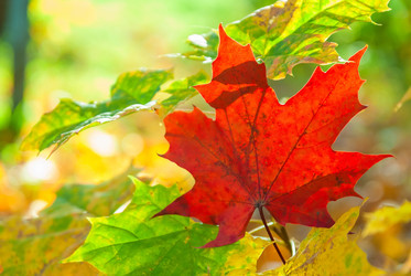 Similar image 9238323