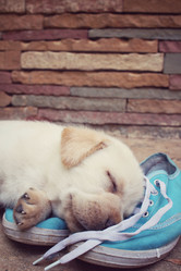 Similar image 9238400