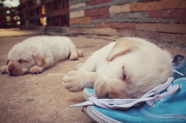 Similar image 9238402