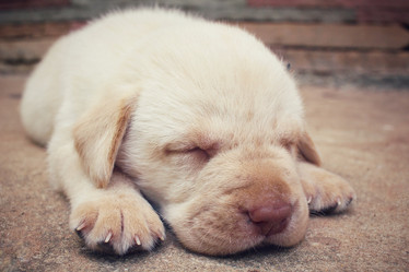 Similar image 9238404