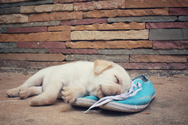 Similar image 9238405