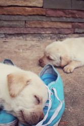 Similar image 9238407