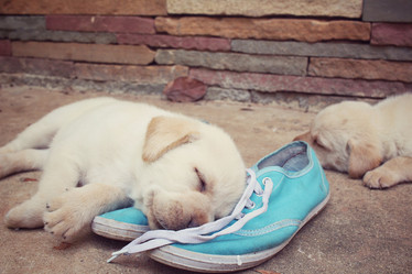 Similar image 9238409