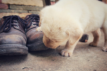 Similar image 9238413