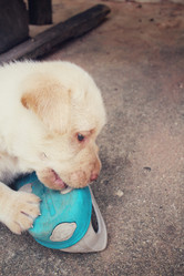 Similar image 9238417