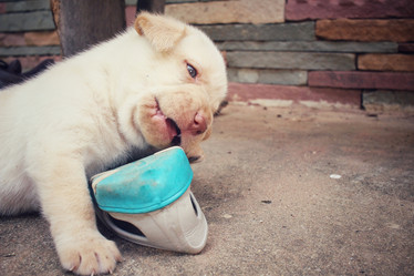 Similar image 9238419