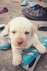 Similar image 9238421