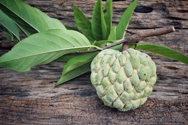 Similar image 9238546