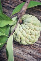 Similar image 9238551