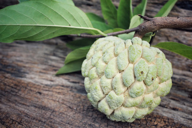 Similar image 9238553