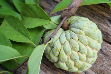 Similar image 9238556