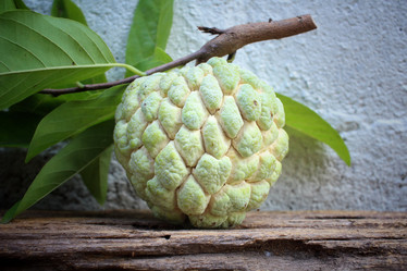 Similar image 9238558