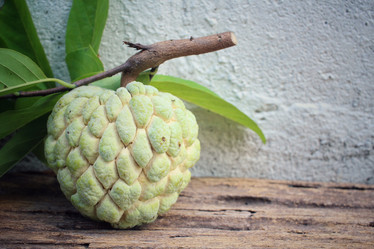 Similar image 9238561