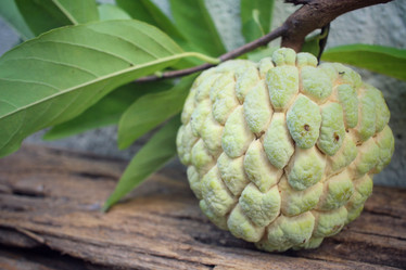 Similar image 9238563