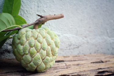 Similar image 9238568