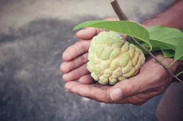 Similar image 9238619