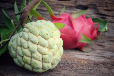 Similar image 9238622