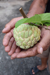 Similar image 9238624