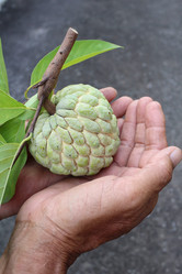 Similar image 9238626