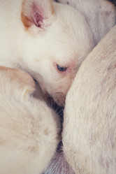 Similar image 9238629