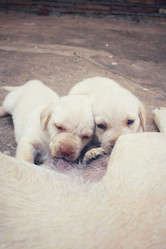 Similar image 9238631