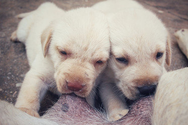 Similar image 9238634