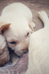 Similar image 9238636