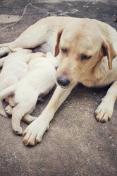 Similar image 9238641