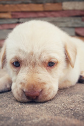 Similar image 9238644