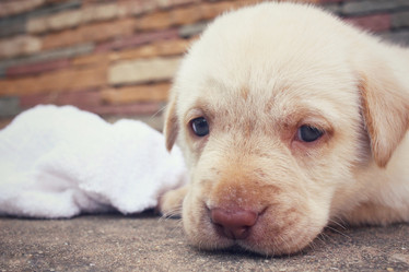 Similar image 9238646