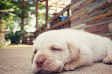 Similar image 9238649