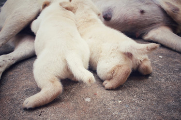 Similar image 9238653