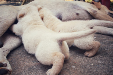 Similar image 9238656