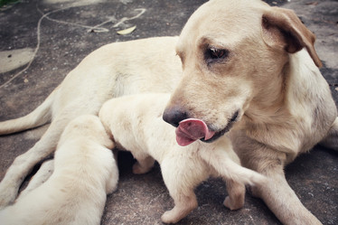 Similar image 9238658