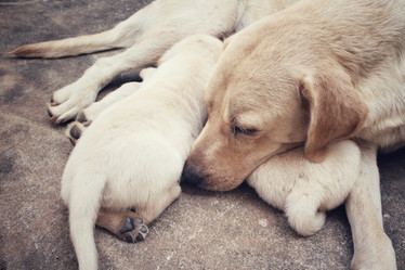 Similar image 9238663