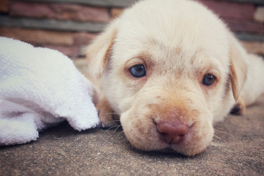 Similar image 9238746